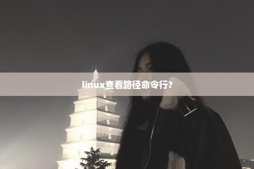 linux查看路径命令行？