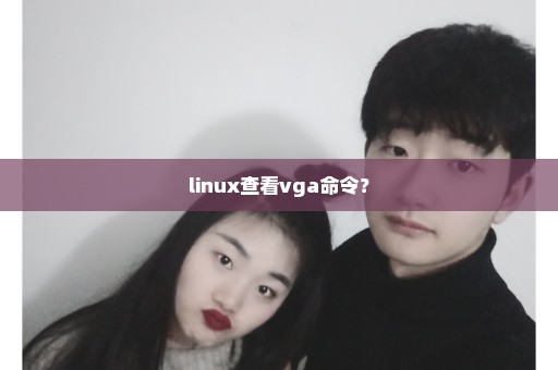 linux查看vga命令？