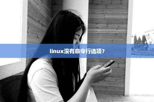 linux没有命令行选项？