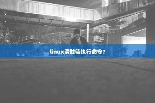 linux清除待执行命令？