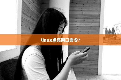 linux点亮网口命令？