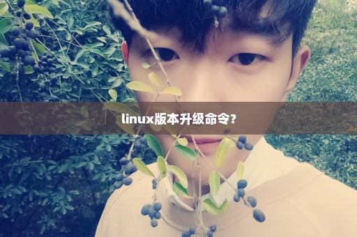 linux版本升级命令？