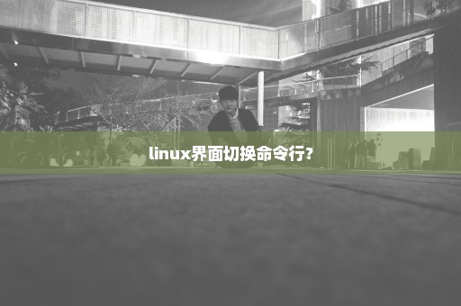 linux界面切换命令行？