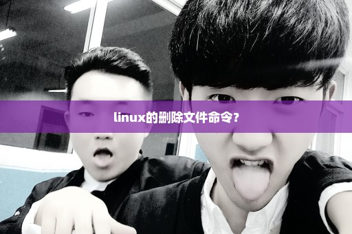 linux的删除文件命令？