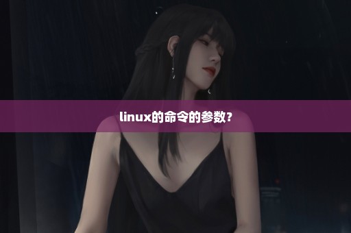 linux的命令的参数？