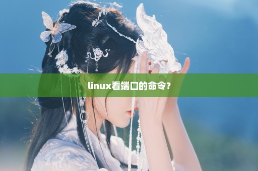 linux看端口的命令？