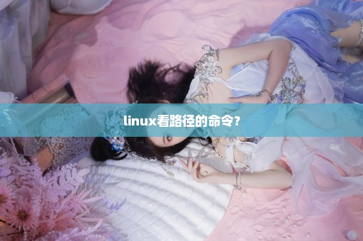 linux看路径的命令？