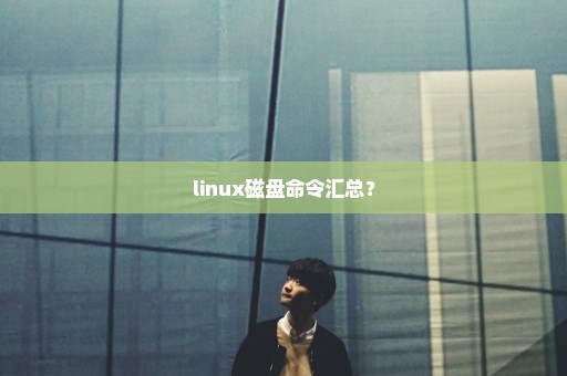 linux磁盘命令汇总？