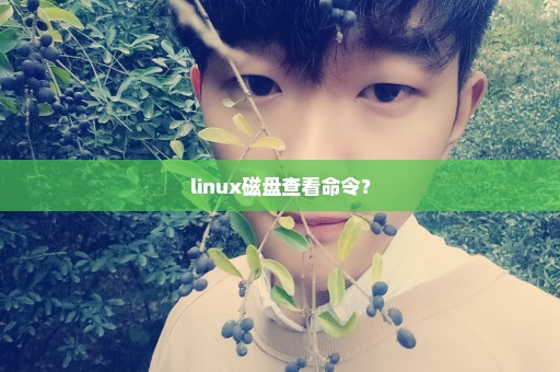 linux磁盘查看命令？