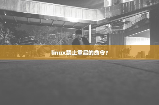 linux禁止重启的命令？