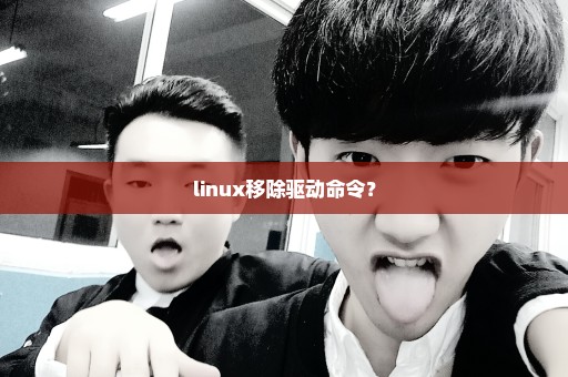 linux移除驱动命令？