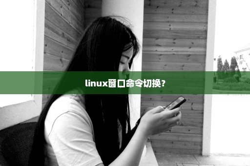 linux窗口命令切换？