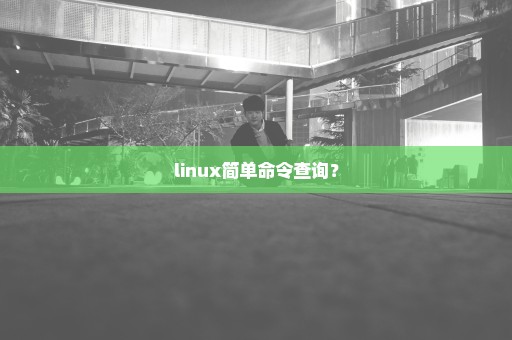 linux简单命令查询？