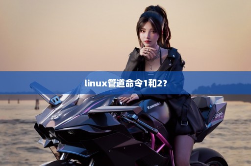 linux管道命令1和2？