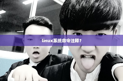 linux系统命令注释？