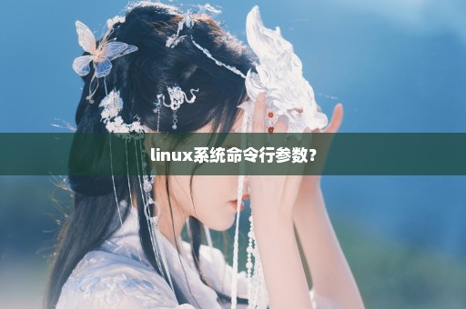 linux系统命令行参数？