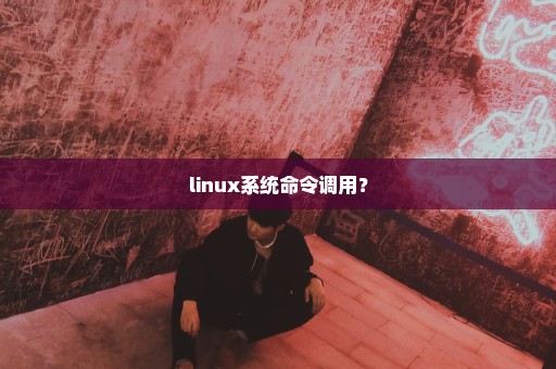 linux系统命令调用？