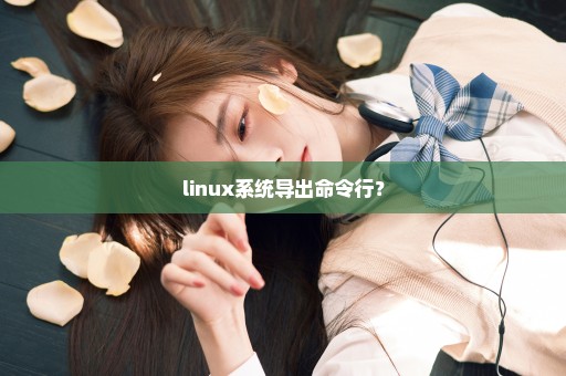 linux系统导出命令行？