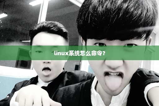 linux系统怎么命令？