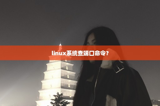 linux系统查端口命令？