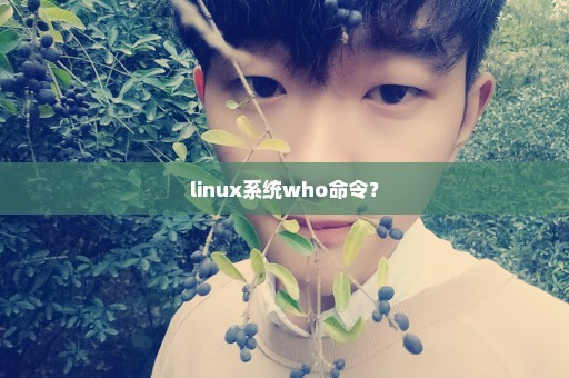 linux系统who命令？