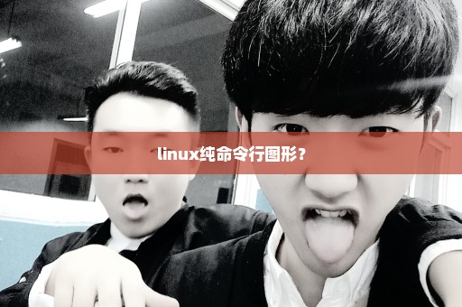 linux纯命令行图形？