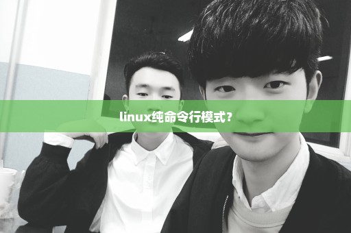 linux纯命令行模式？