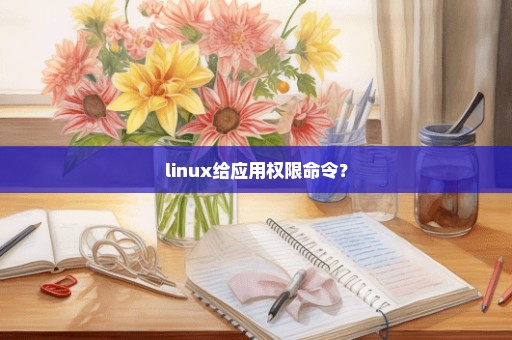 linux给应用权限命令？