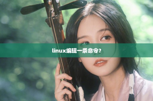 linux编辑一条命令？