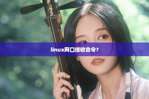 linux网口接收命令？