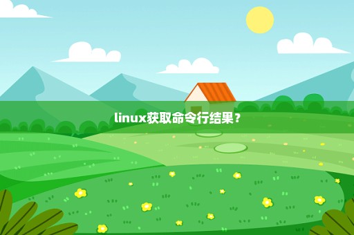 linux获取命令行结果？