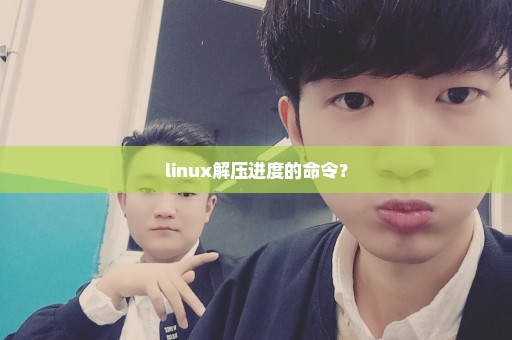 linux解压进度的命令？