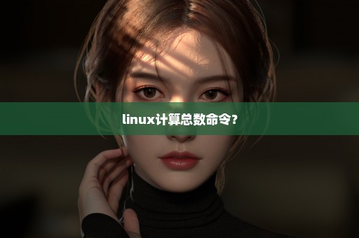 linux计算总数命令？