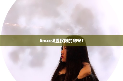 linux设置权限的命令？