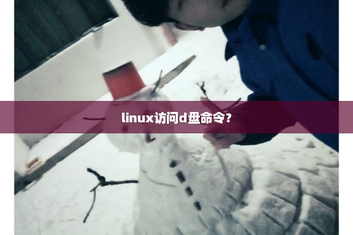 linux访问d盘命令？