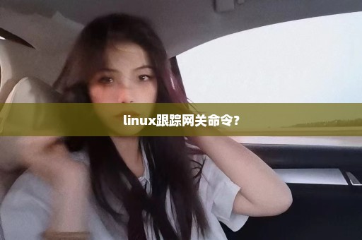 linux跟踪网关命令？