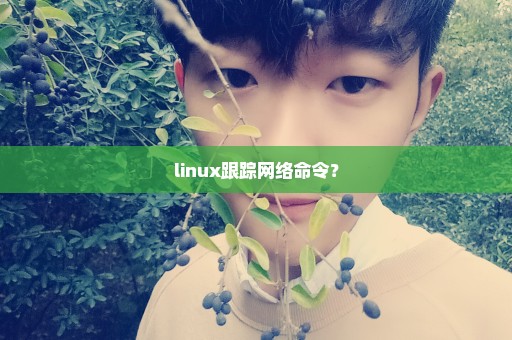 linux跟踪网络命令？