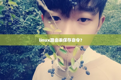 linux路由表保存命令？