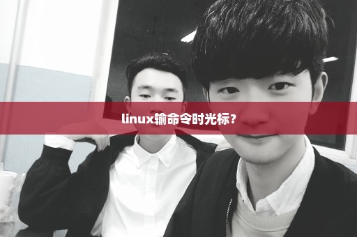 linux输命令时光标？