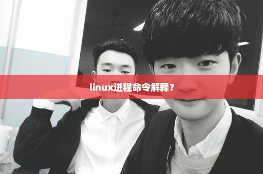 linux进程命令解释？