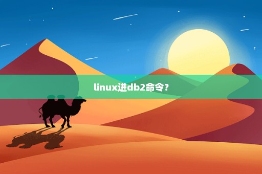 linux进db2命令？