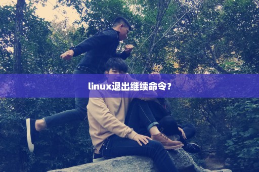 linux退出继续命令？