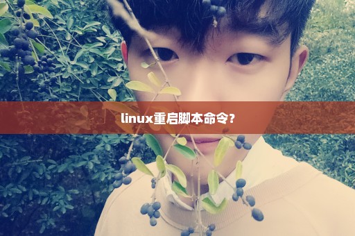 linux重启脚本命令？