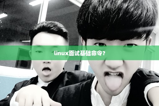 linux面试基础命令？