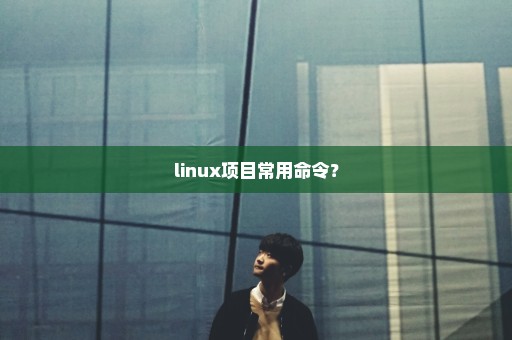 linux项目常用命令？