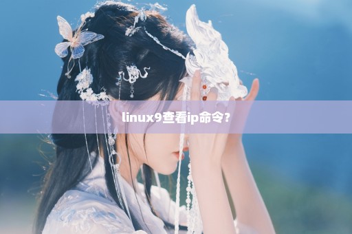 linux9查看ip命令？