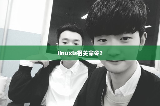 linuxls相关命令？