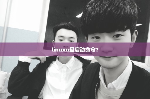 linuxu盘启动命令？