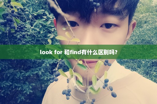 look for 和find有什么区别吗？