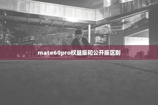 mate60pro权益版和公开版区别